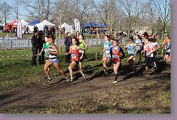 Begles 15.12.13 01 487 * 679 x 453 * (193KB)